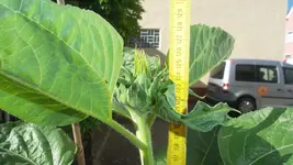 20170619_090651.webp
