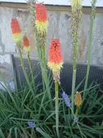 18.06.2017 c.webp