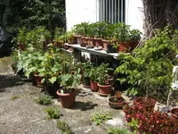 BILD7142.webp