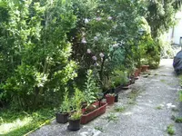 BILD7069.webp