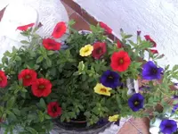 BILD7150.webp