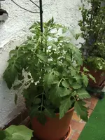 BILD6982.webp