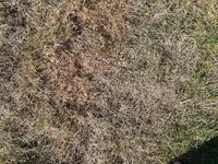 IMG_20170618_175210.webp