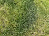 IMG_20170618_175224.webp