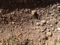 IMG_20170618_175327.webp