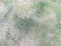IMG_20170618_210625.webp