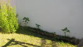 20170619_091501.webp