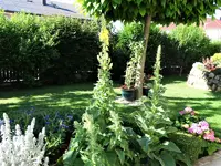 DSC00320.webp