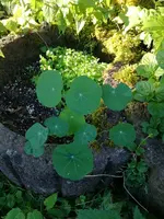IMG_20170619_065327.webp