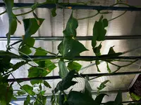 20170619_172604.webp