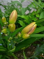 P1140031.JPG