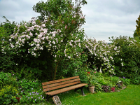 P1140034.webp