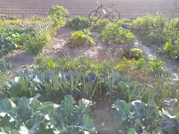IMG_20170619_193049.webp