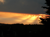 P1140020.webp P1140020.webp