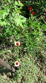 gemischt 026.webp