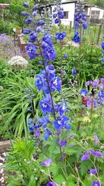 gemischt 051.webp