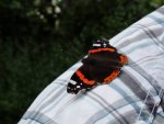 IMG_2070.JPG