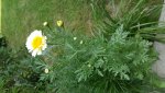20170620_174730.jpg