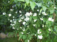 100_2381.jpg