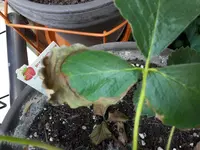 20170620_181628.webp