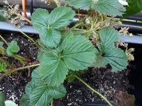 20170620_181647.webp
