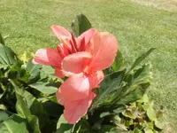 DSCI1638.webp