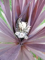 P1010082 (2).webp