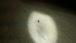 20170621_012200.jpg