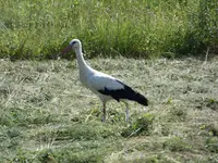 P1000354.jpg