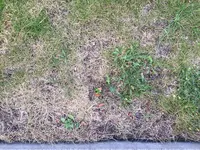 image4.webp