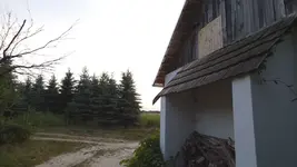 P1000383.JPG