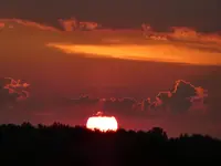 P1000379.webp
