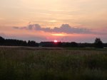 P1000380.jpg