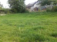 20170621_091333.jpg