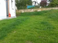 20170621_091346.webp