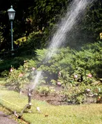 BAUER Kreis-und Sektorregner SB 82 im Rosarium Baden - 29.jpg