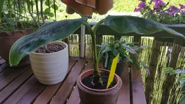 20170621_103738.jpg