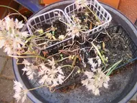 DSCF5690.webp
