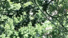 20170621_122236.webp