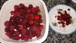 01_20170621_164404_resized.webp
