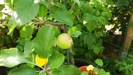 02_20170621_154614_resized.webp