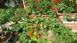 08_20170621_154150_resized.webp