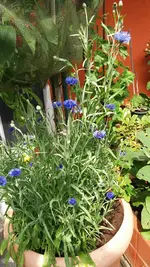 11_20170621_154113_resized.webp