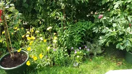 12_20170621_154007_resized.webp