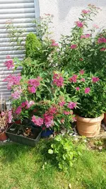 13_20170621_154023_resized.webp