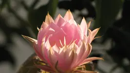 IMG_7404.webp
