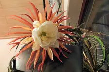 DSCF9249 (2).JPG