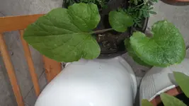 20170611_204110.webp