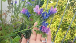 20170622_065513.webp