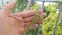 20170622_065503.jpg